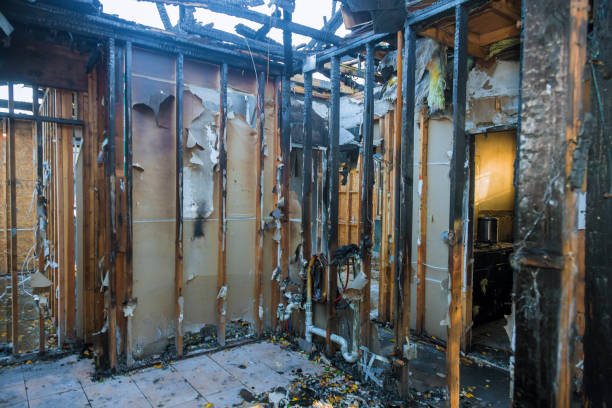 Professional Fire Damage Cleanup technician working in Jackson, NJ